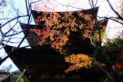 湖東三山　西明寺DSC01294