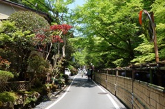 京都　貴船　新緑　DSC04322
