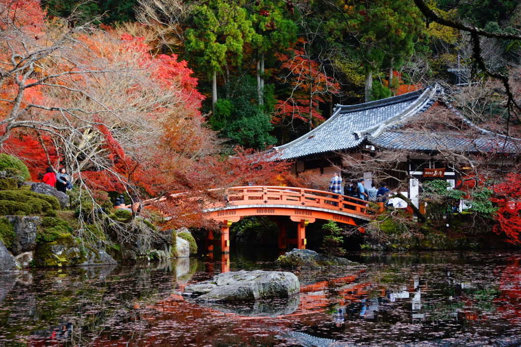 醍醐寺DSC01770