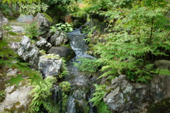 奈良　衣水園DSC02076