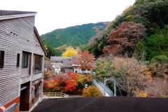 DSC06563