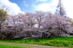 DSC04065