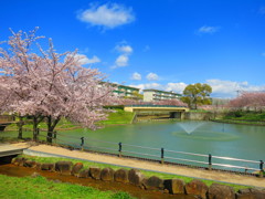 公園IMG_6714