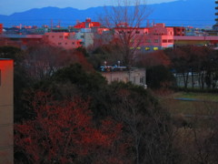 夕暮れ時IMG_4840_2