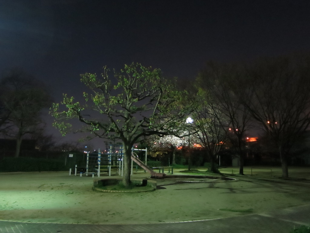 夜の公園IMG_6220