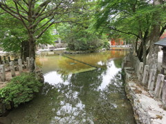 池IMG_0482