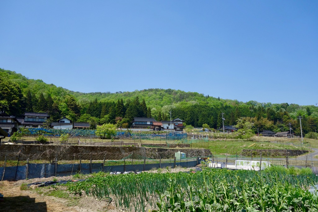 里山　DSC07909