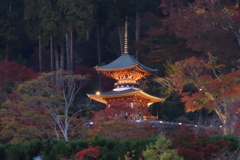 勝尾寺DSC00790