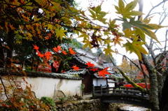 DSC02697