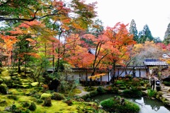 湖東三山　西明寺DSC01390