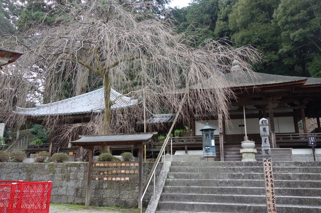 天野山金剛寺DSC02439