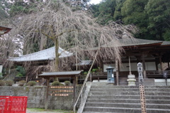 天野山金剛寺DSC02439