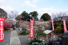 月ケ瀬　真福寺DSC02515