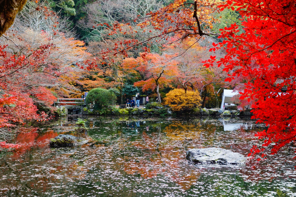 醍醐寺DSC01761