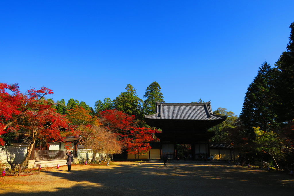 神護寺IMG_4745