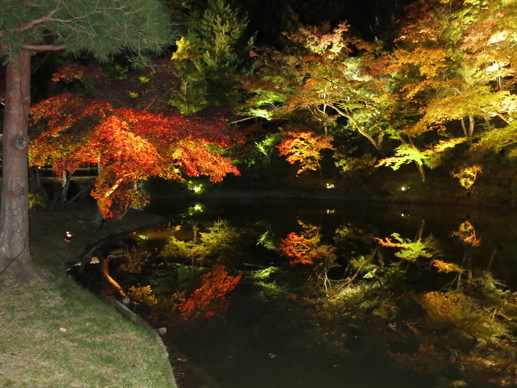 高台寺紅葉IMG_3307