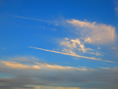 飛行機雲IMG_0516