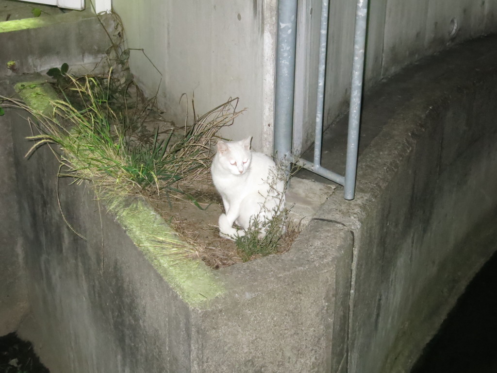 お気に入りの場所IMG_2663