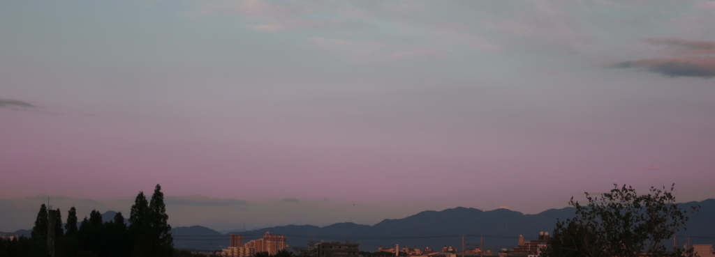夕暮れ時IMG_1624
