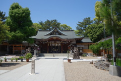 DSC08033
