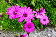 DSC08557