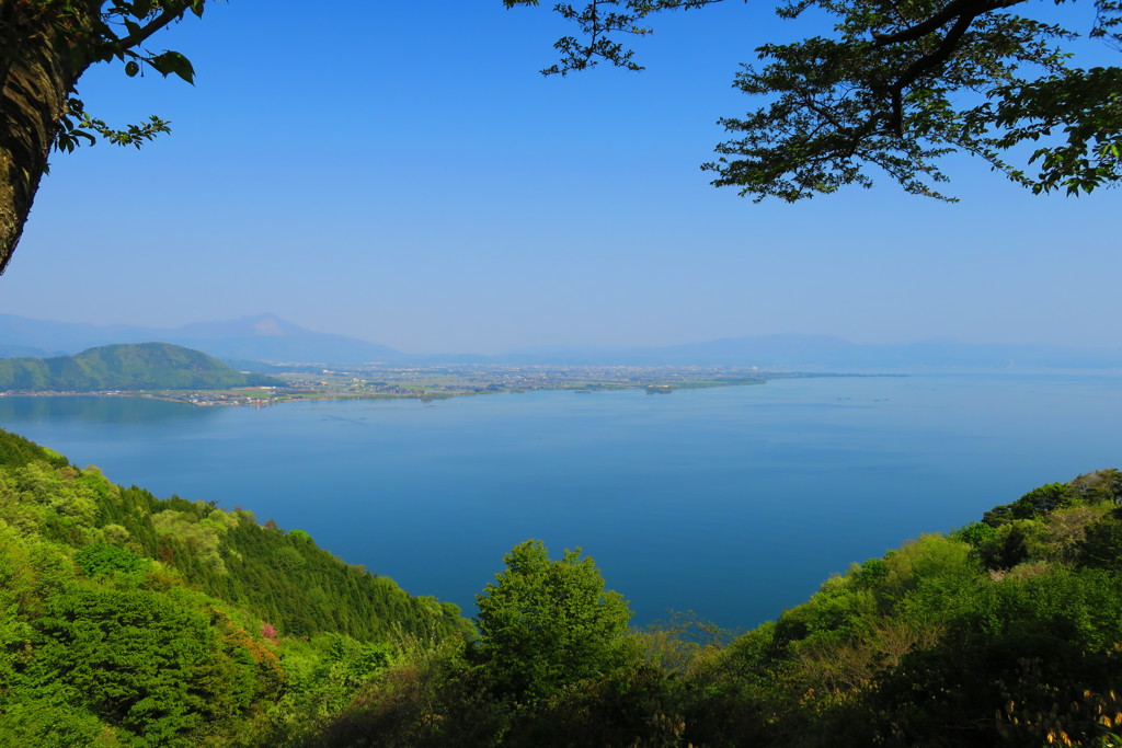 新緑　琵琶湖IMG_0987