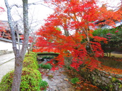 天野山　金剛寺IMG_3840