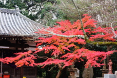 松尾寺DSC06425