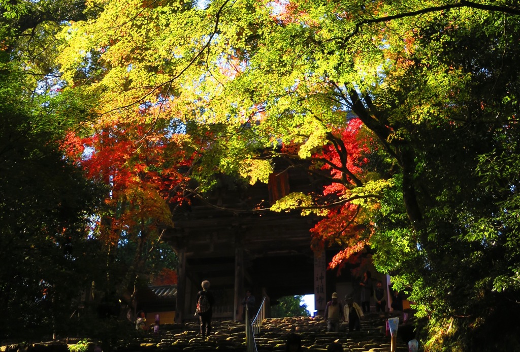 神護寺IMG_4716