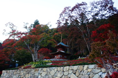勝尾寺DSC00749