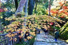 湖東三山　西明寺DSC01543