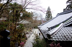 石山寺DSC03475