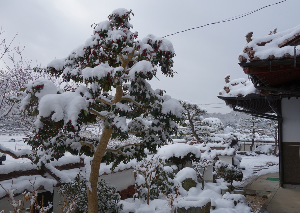 民家の雪
