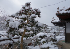 民家の雪