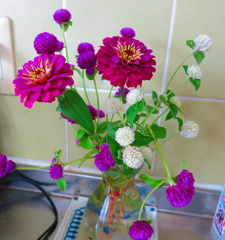 花IMG_1425