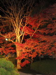 京　南禅寺IMG_3674