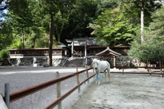 神馬DSC05983