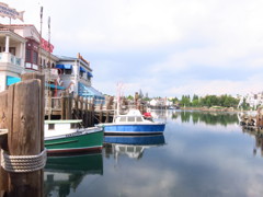 USJ IMG_1258