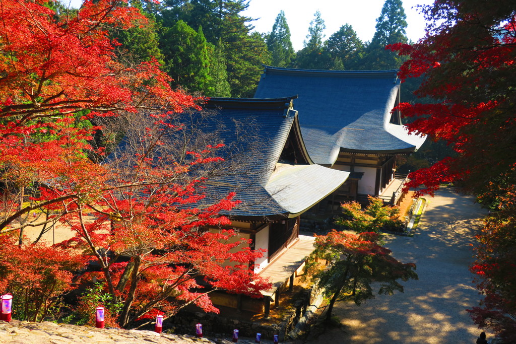 神護寺IMG_4795