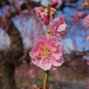 DSC02560