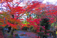 大威徳寺IMG_5331