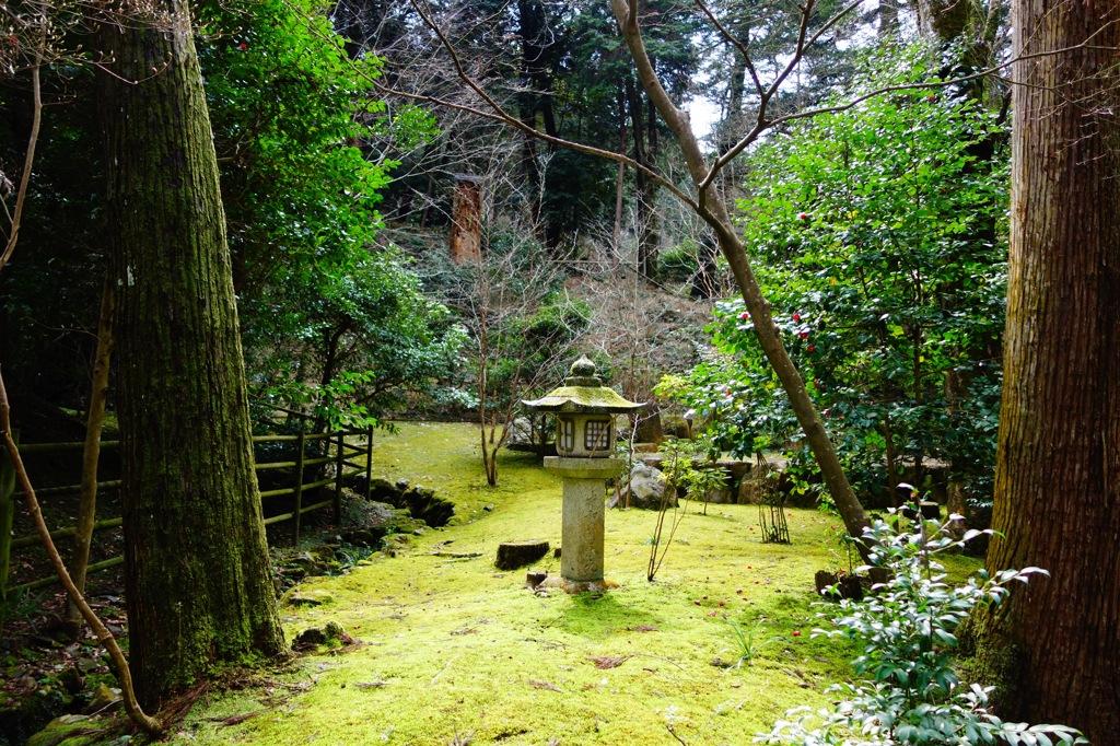 石山寺DSC03610