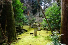石山寺DSC03610