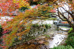 DSC02628
