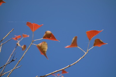 青空