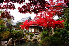 松尾寺DSC06345