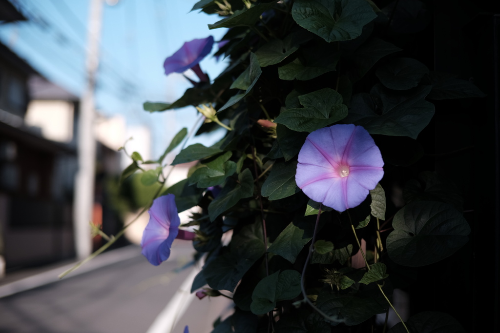 「無題」
