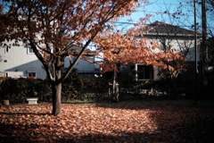「無題」
