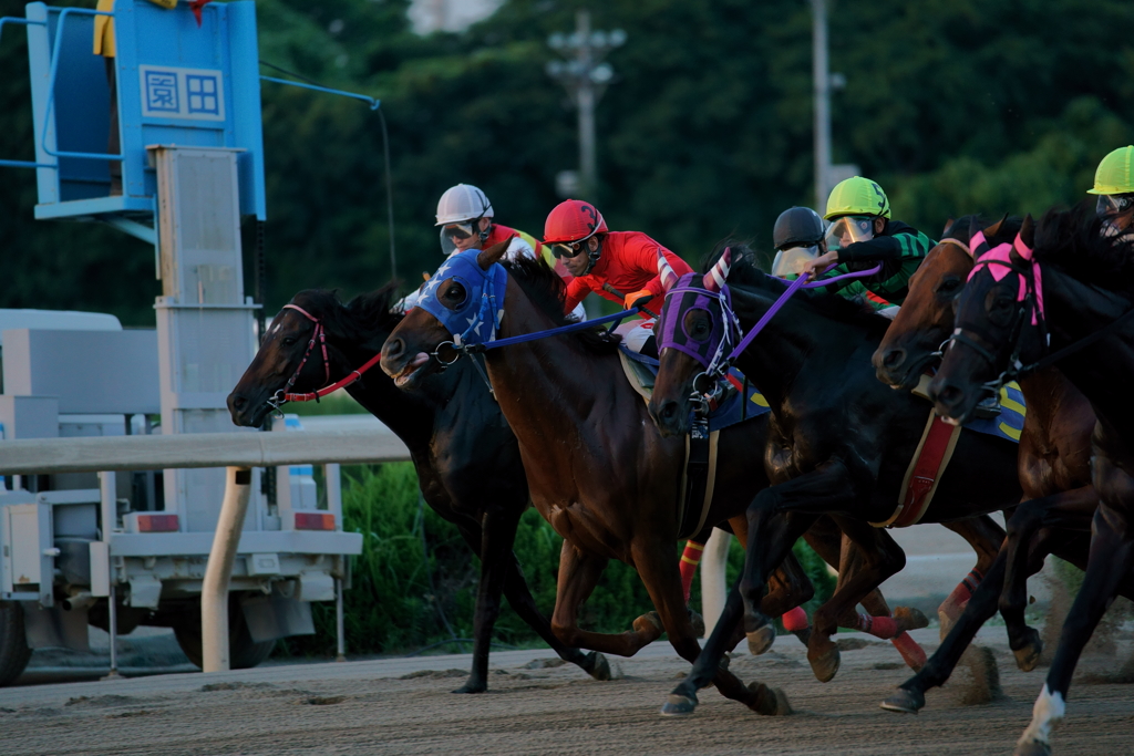 園田競馬　先行争い