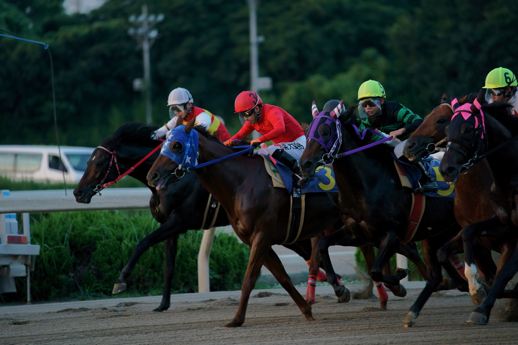 園田競馬　先行争い